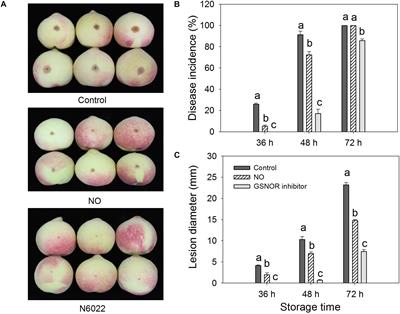 Exogenous Nitric Oxide Enhances Disease Resistance by Nitrosylation and Inhibition of S-Nitrosoglutathione Reductase in Peach Fruit